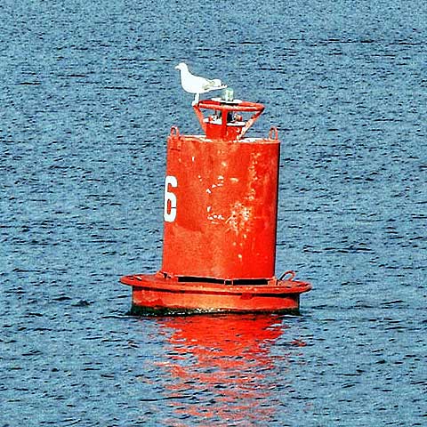 Необычное применение охранных ограждений