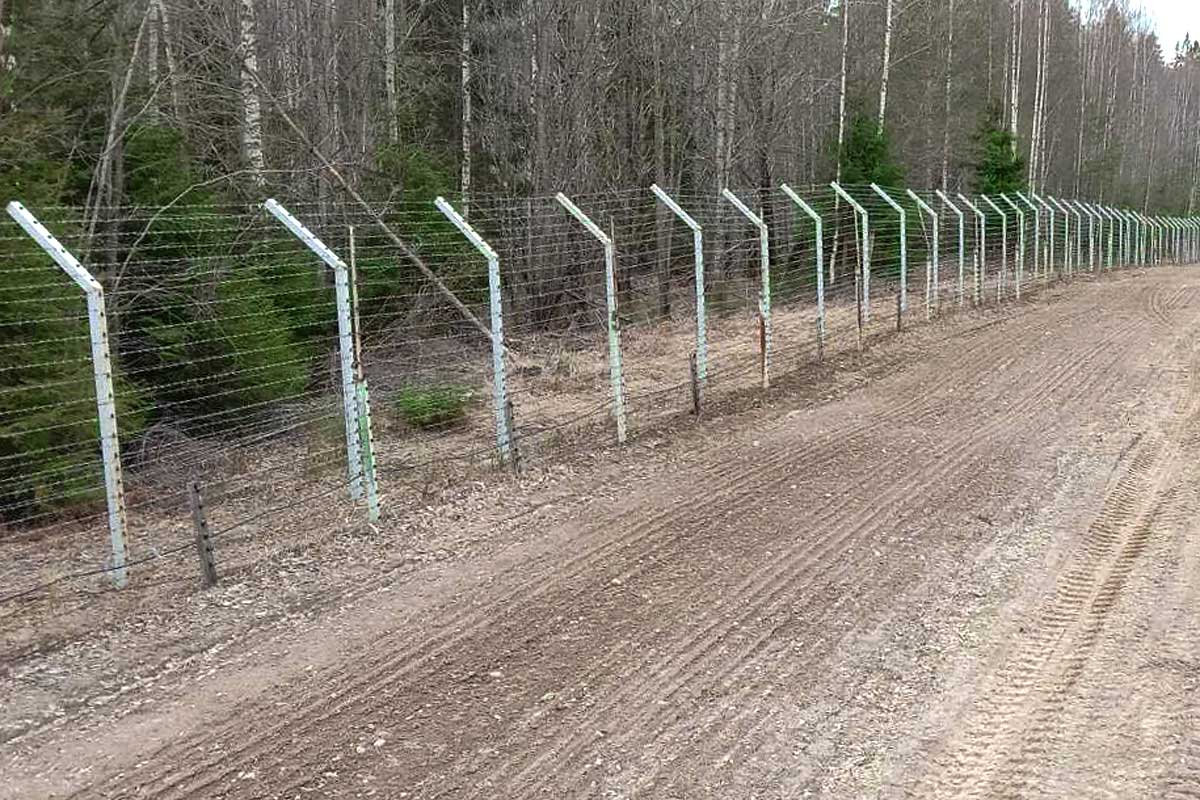 Нить АКЛ, АСКЛ